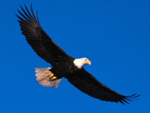 u=1721191352,3156784191&amp;fm=26&amp;gp=0.jpg