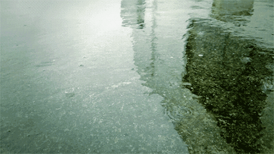 timg (23).gif