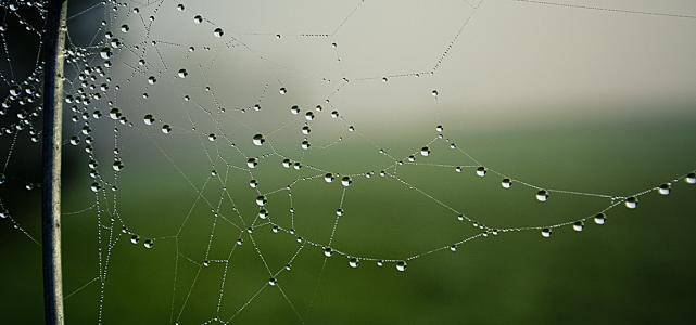 u=2329103905,2347278954&amp;fm=26&amp;gp=0.jpg