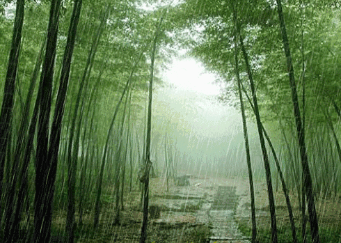 2bcbc17af298b89627030423e011c786.gif