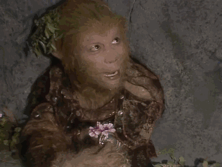 RS5fiMqey9H2t3LSklbjc6WVrdWnFs5s.gif