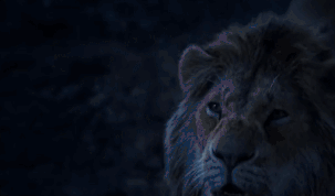 640 (5).gif